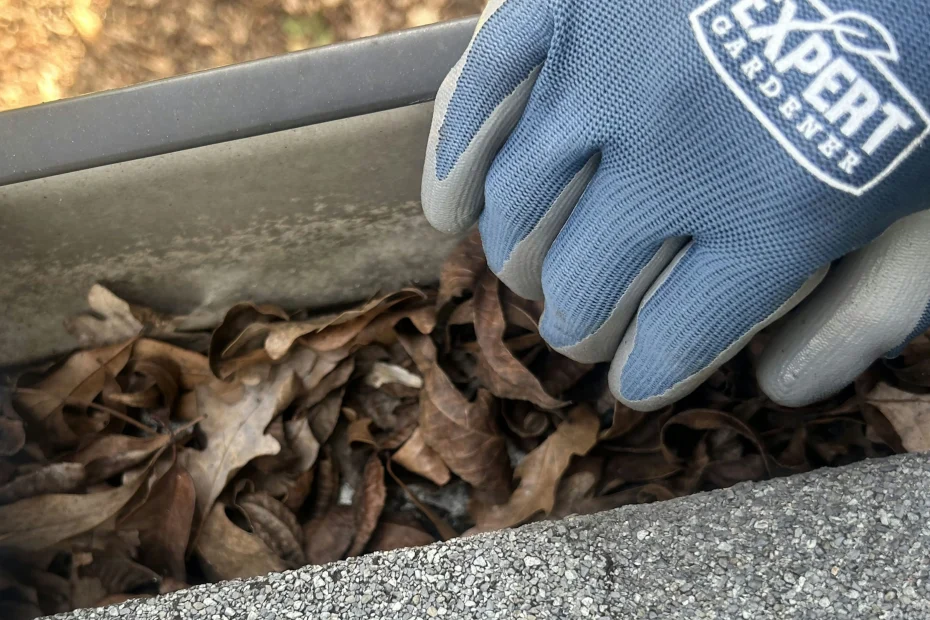 Gutter Cleaning Tucker